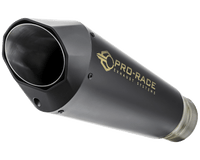 BMW S1000RR 2019-2024 EVO-RC slip-on exhaust Pro-Race exhaust systems