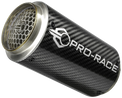 GP-RX Universal Slip-On Exhaust  Pro-Race exhaust systems