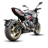 Triumph Trident 800 2026+ GP-RX Titanium Slip-on exhaust  Pro-Race exhaust systems