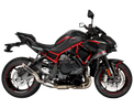 Kawasaki ZH2 2020-2026 GP-R1 Slip-on exhaust Pro-Race exhaust systems