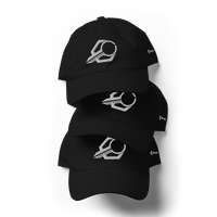 Dad hat with Large Logo  Pro-Race exhaust systems
